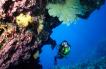 Diver looking under the ledge