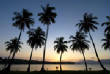 Gallery1/Samana-Sunset.jpg