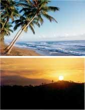 Overview2.JPG