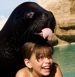 Sea Lion Encounter at Ocean World