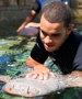 Shark and Stingray Encounter at Ocean World